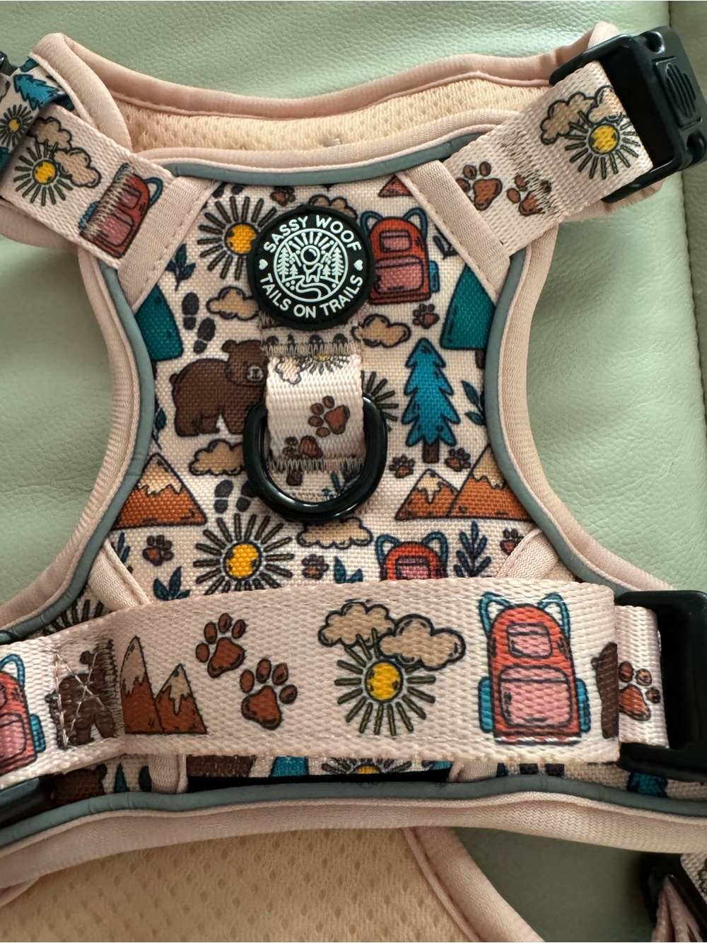 Sassy Woof Dog Harness with Nature Print
